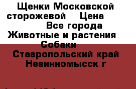 Щенки Московской сторожевой  › Цена ­ 25 000 - Все города Животные и растения » Собаки   . Ставропольский край,Невинномысск г.